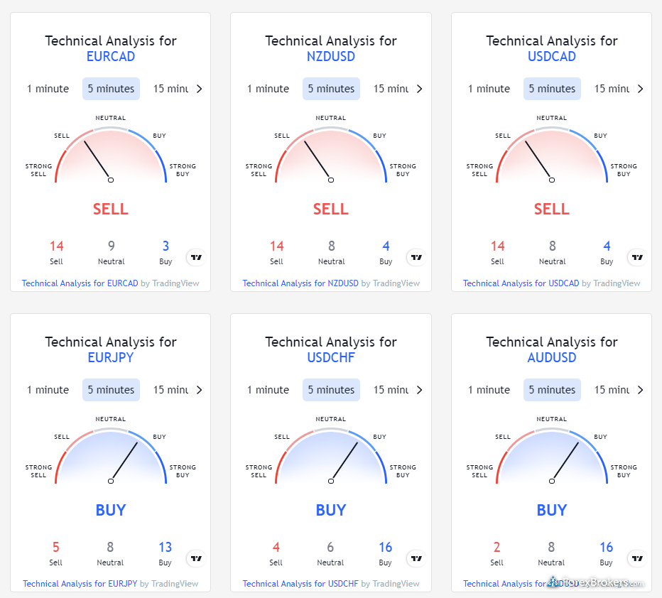 Moneta Markets market sentiment